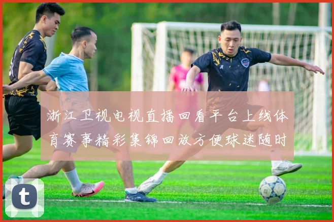 浙江卫视电视直播回看平台上线体育赛事精彩集锦回放方便球迷随时观看
